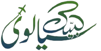 Labbaik Sialvi Travels logo - WebUstad client